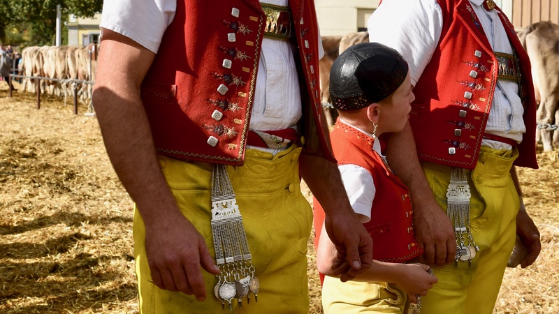 Appenzell: "Viehschau"