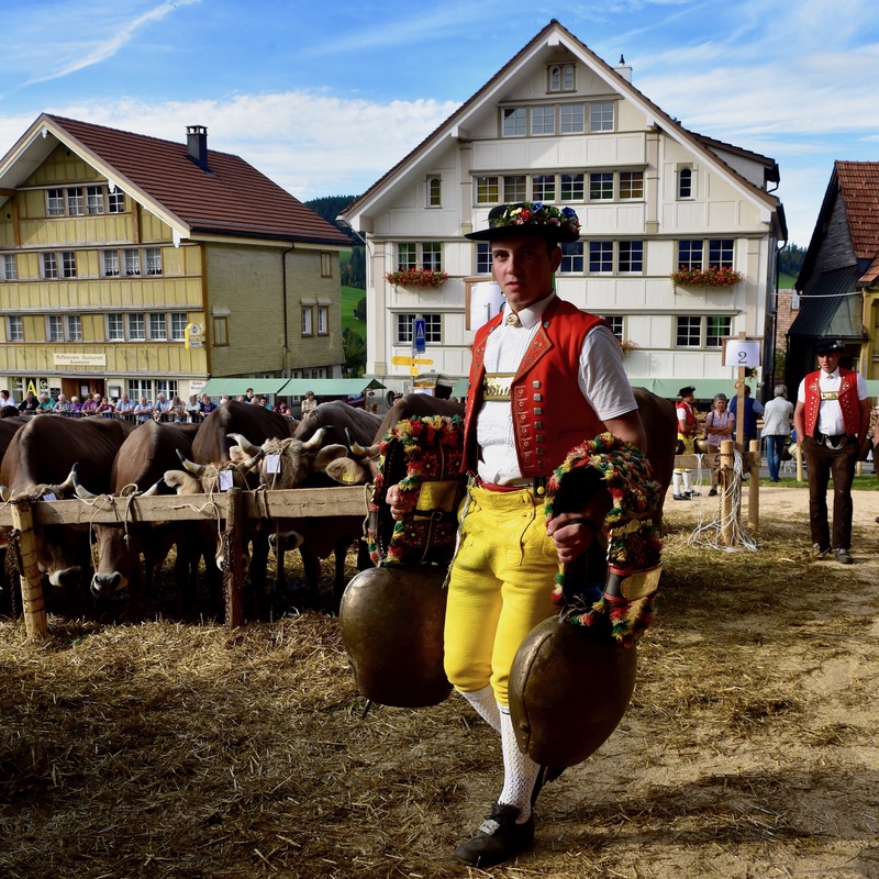 Appenzell: "Viehschau"