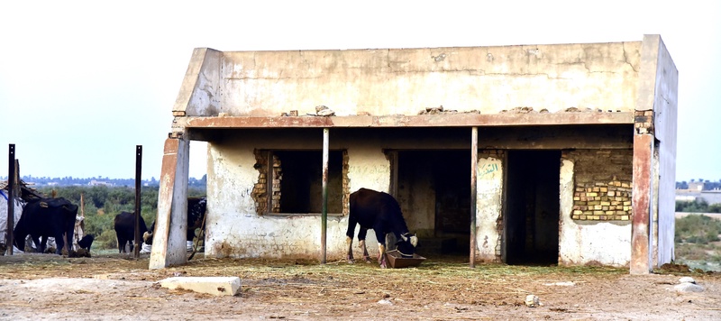 Railway Station at the Baghdad-Basra Line