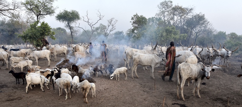 Mundari