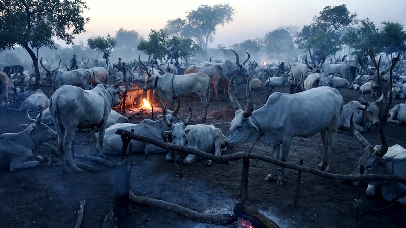 Mundari