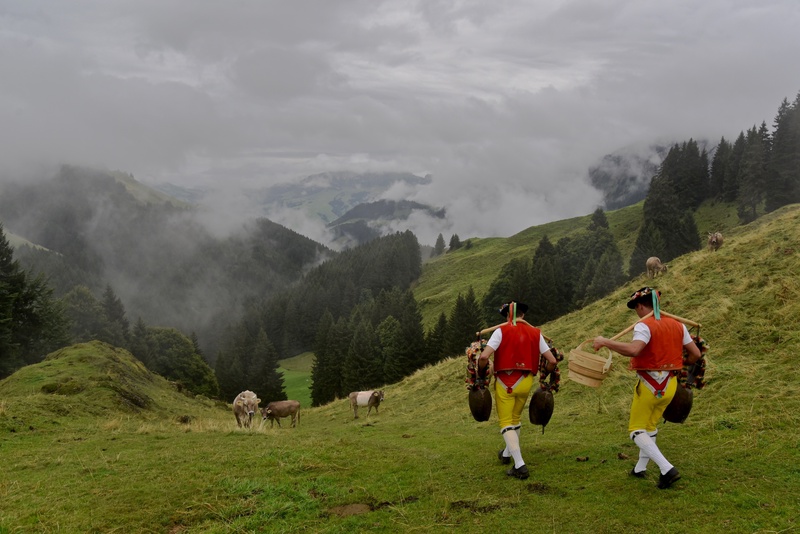 Appenzell: "Alpabzug"