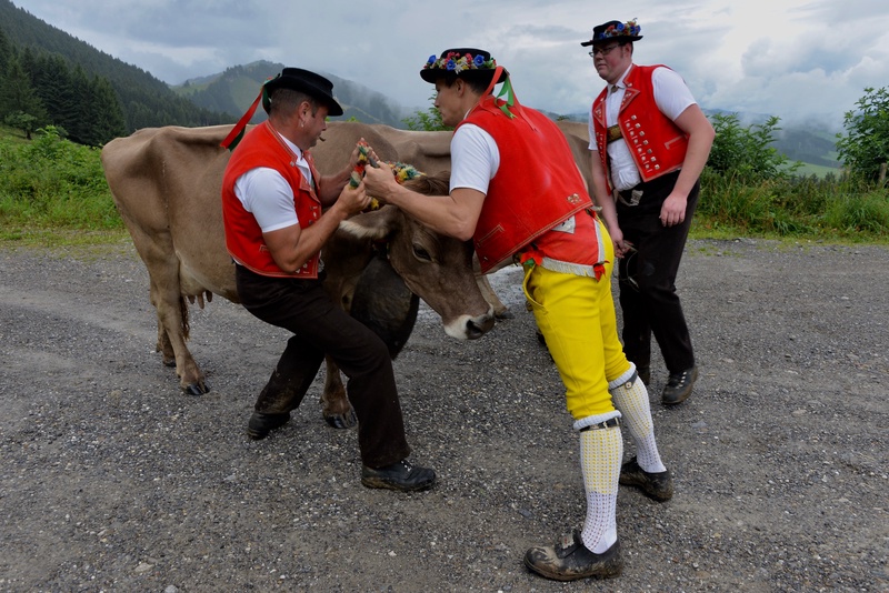 Appenzell: "Alpabzug"