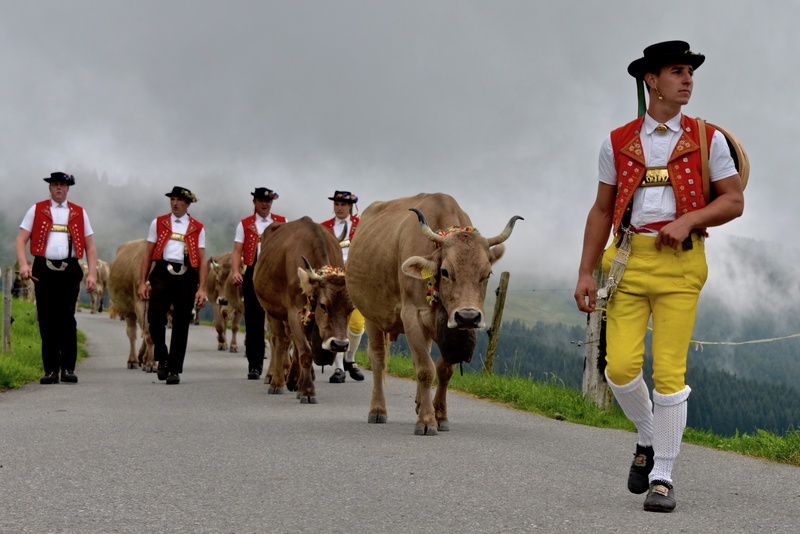 Appenzell: "Alpabzug"