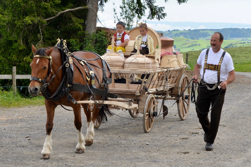 Appenzell: "Alpabzug"