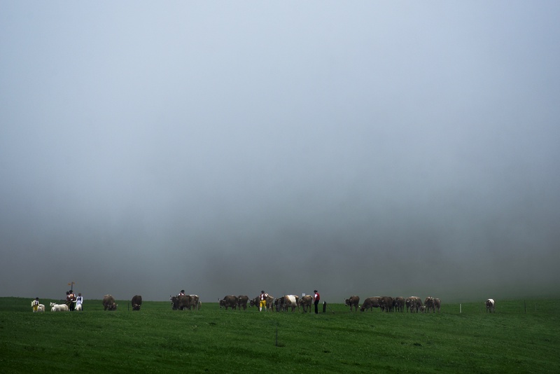 Appenzell: "Alpabzug"