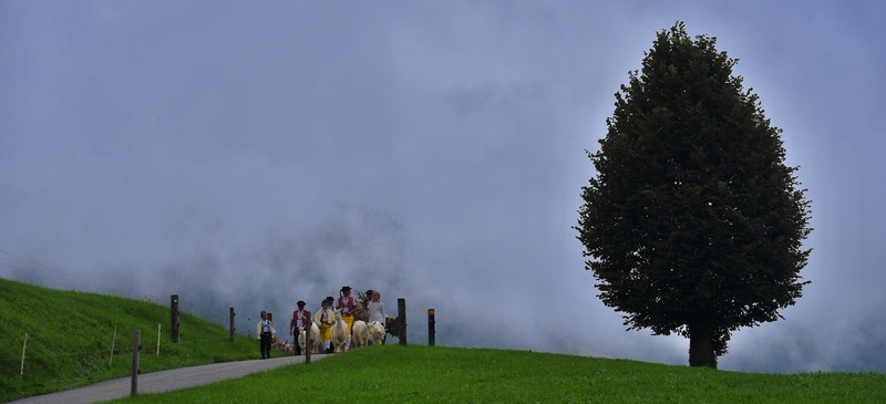 Appenzell: "Alpabzug"