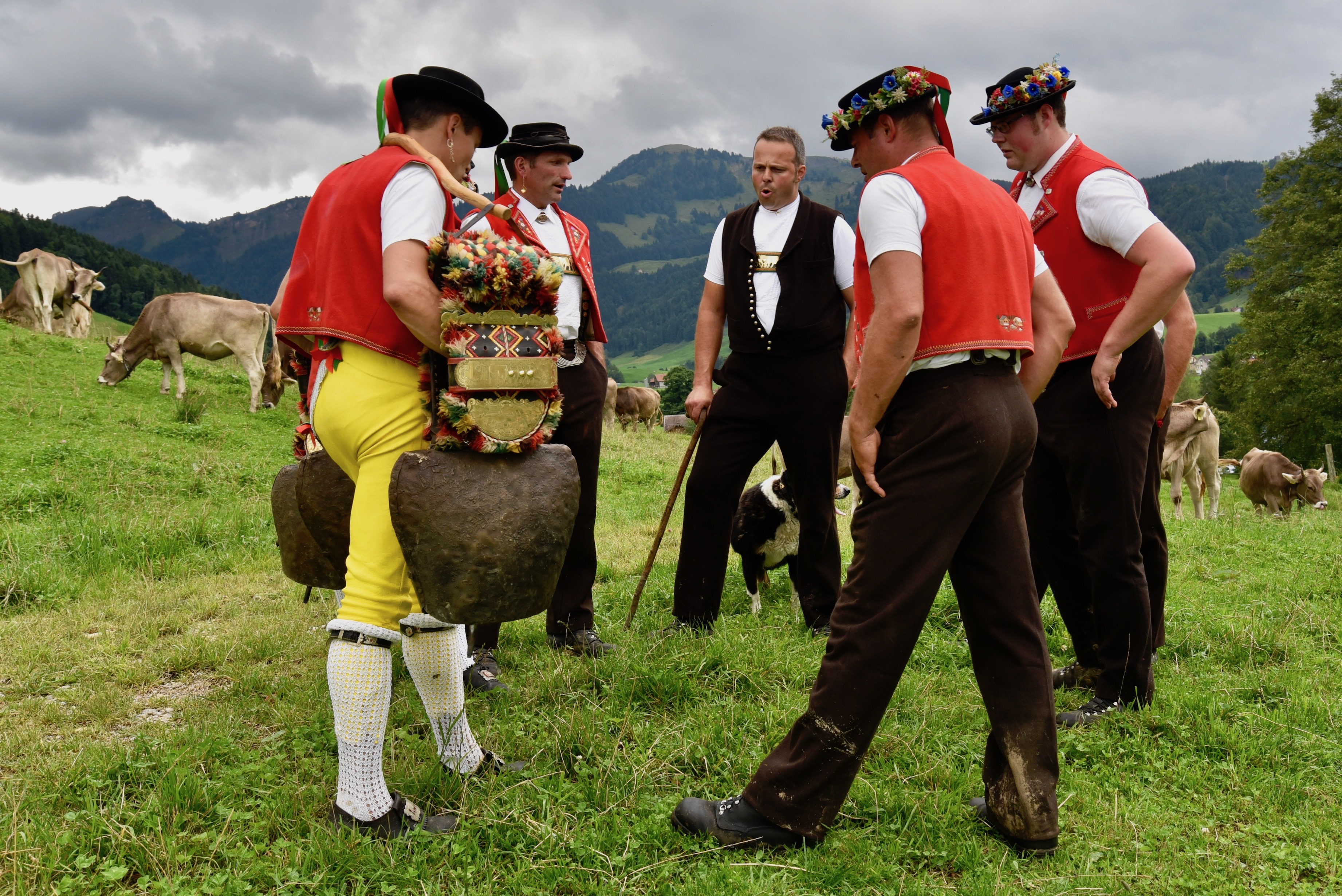 Appenzell: "Alpabzug"