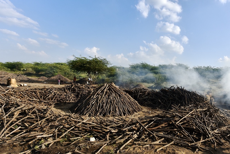 Charcol Production Gujarat