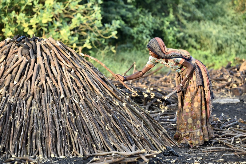 Charcol Production Gujarat