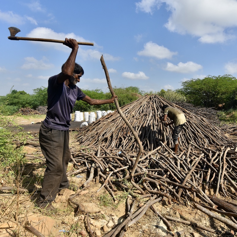 Charcol Production Gujarat