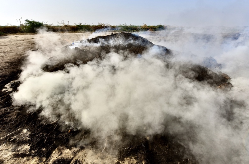 Charcol Production Gujarat