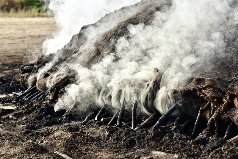 Charcol Production Gujarat