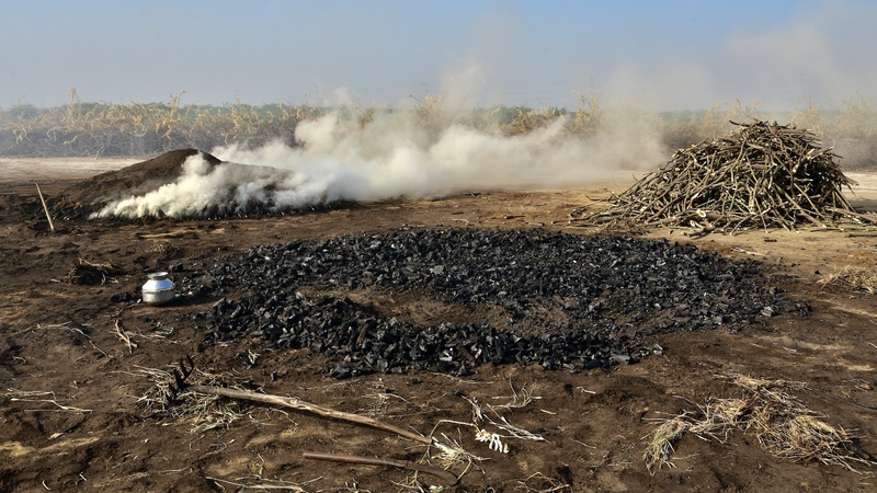 Charcol Production Gujarat