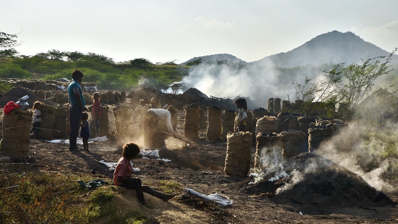 Charcol Production Gujarat