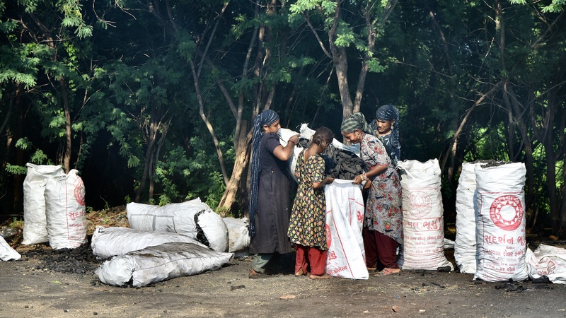 Charcol Production Gujarat