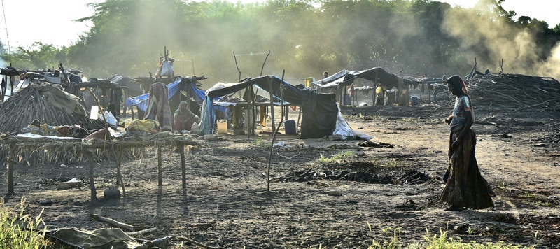 Charcol Production Gujarat