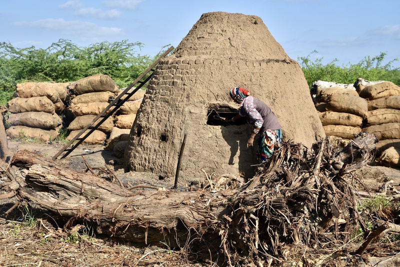 Charcol Production Gujarat