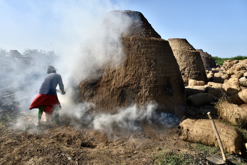 Charcol Production Gujarat