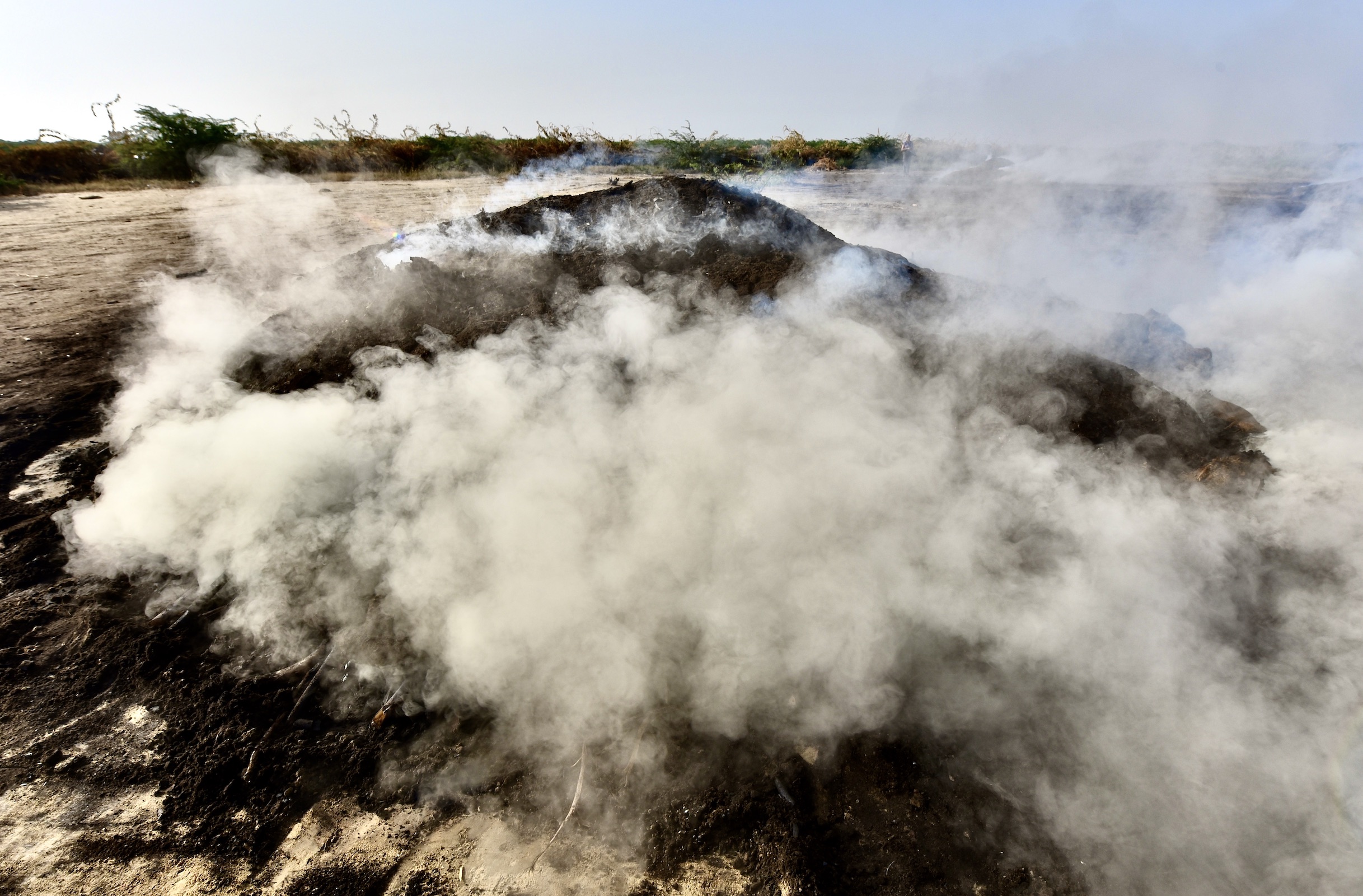 Charcol Production Gujarat