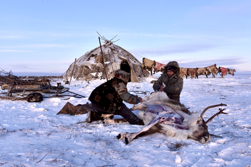 Chukchi (Siberia)