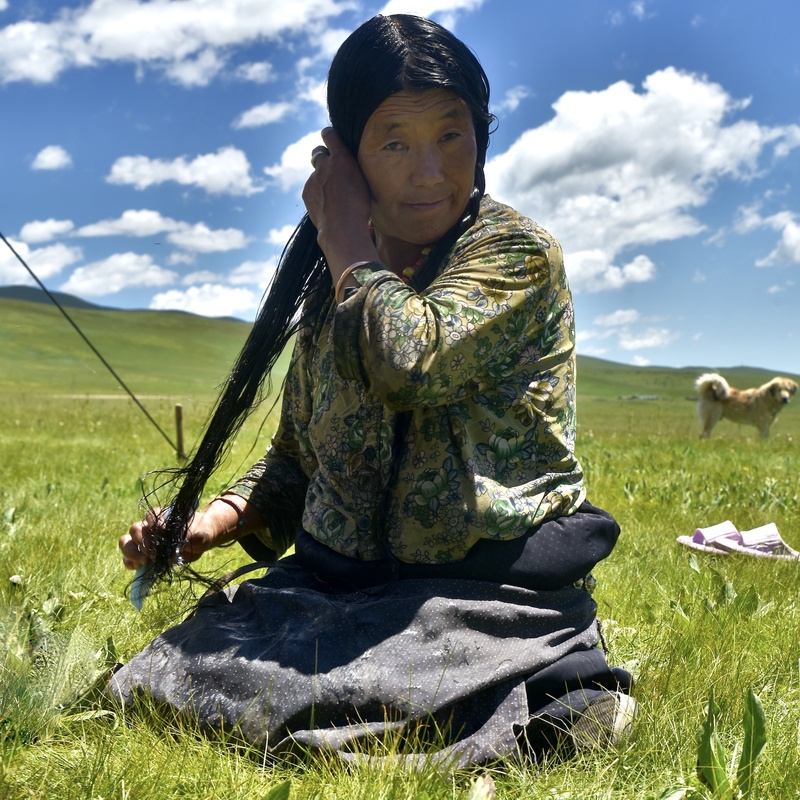 Tibetan Nomads