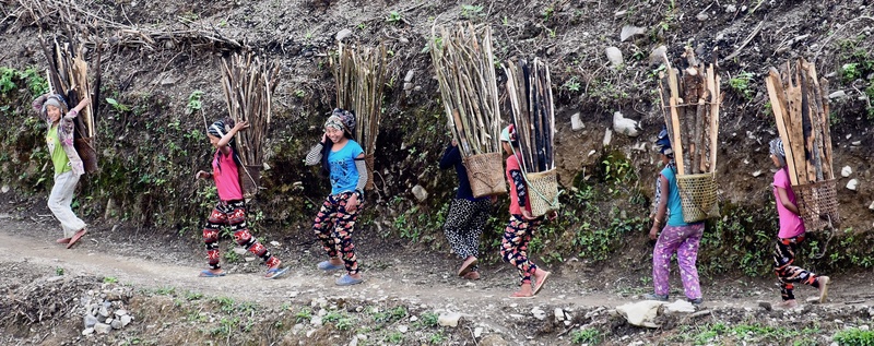 Naga Hills (Myanmar)