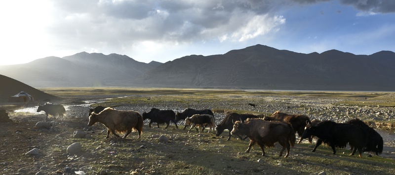 Kyrgyz Nomads in the Wakhan Corridor