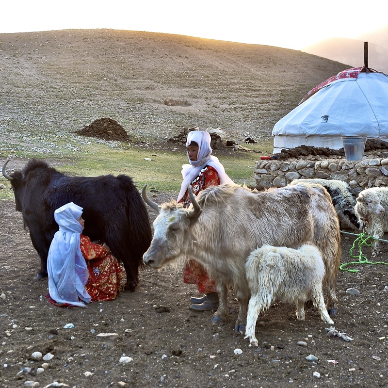 Kyrgyz Nomads in the Wakhan Corridor