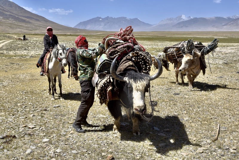 Kyrgyz Nomads in the Wakhan Corridor