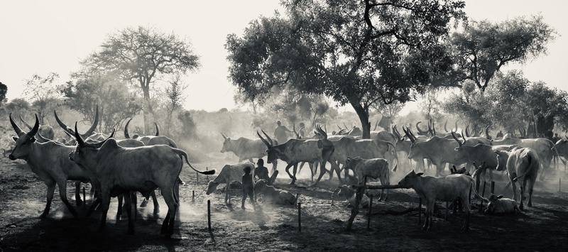 Mundari