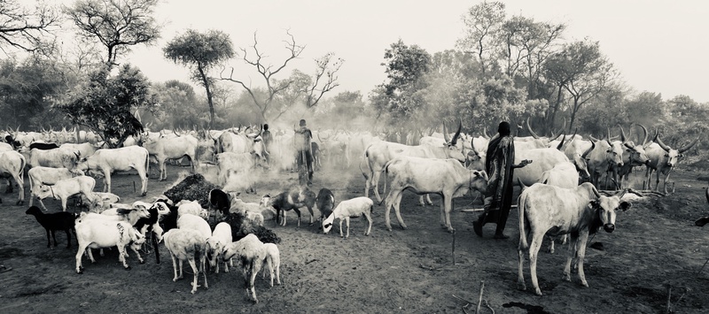 Mundari
