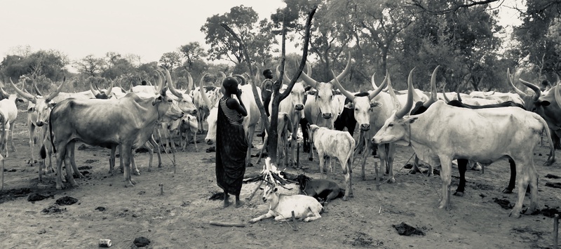 Mundari