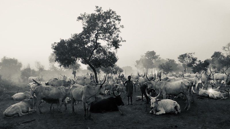 Mundari