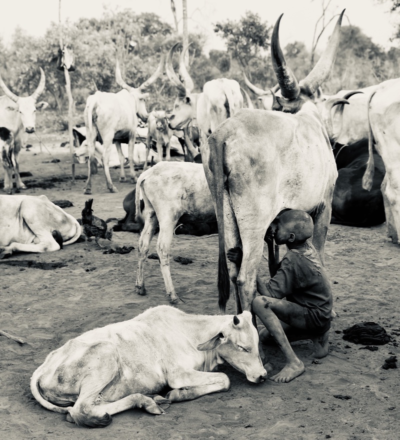 Mundari