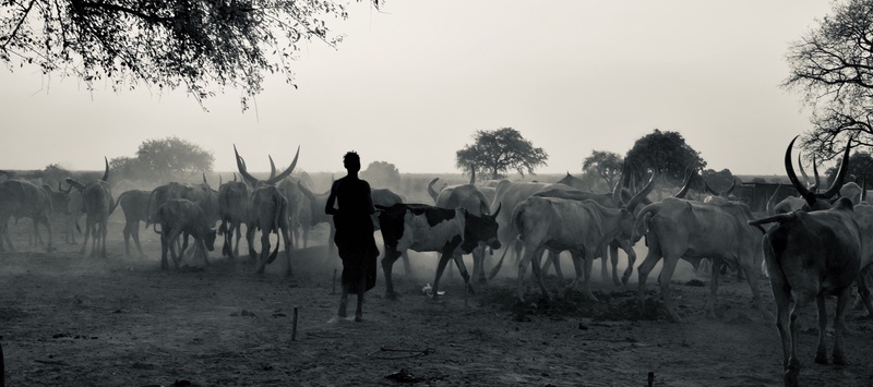 Mundari