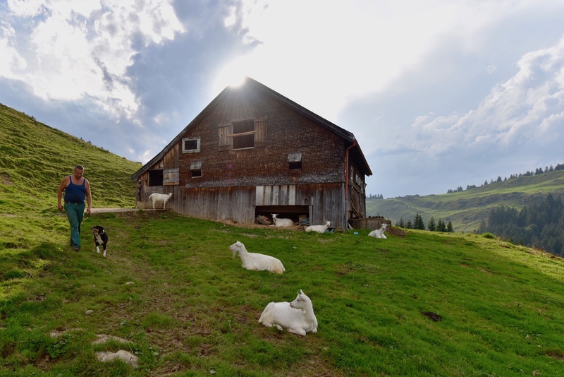 Swiss Farming