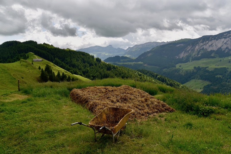 Swiss Farming
