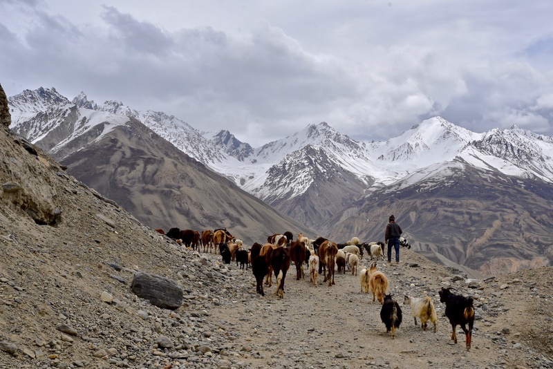 Pamir