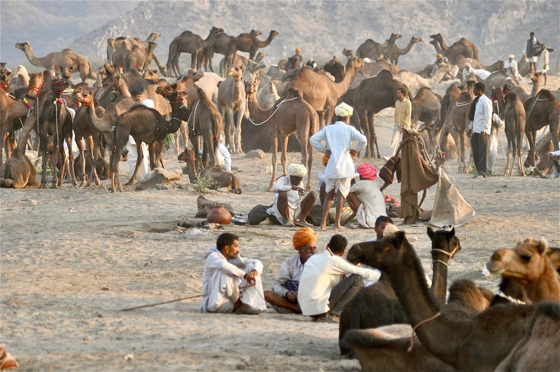 Pushkar Camel Fair