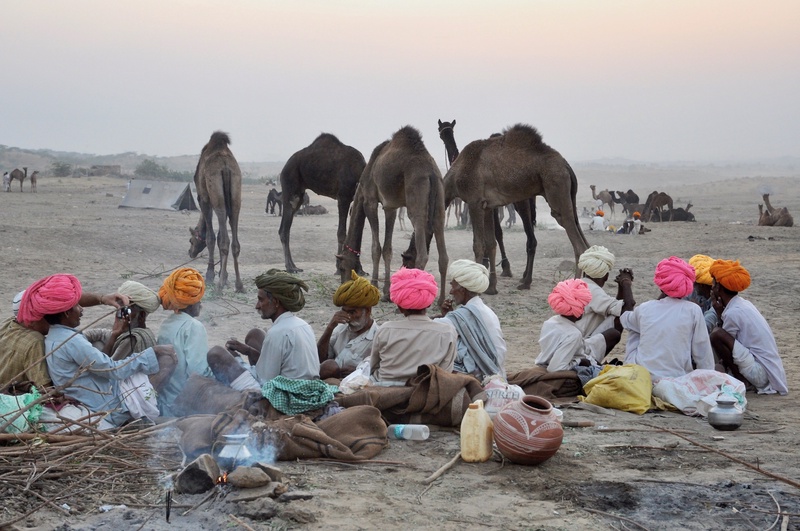 Pushkar Camel Fair