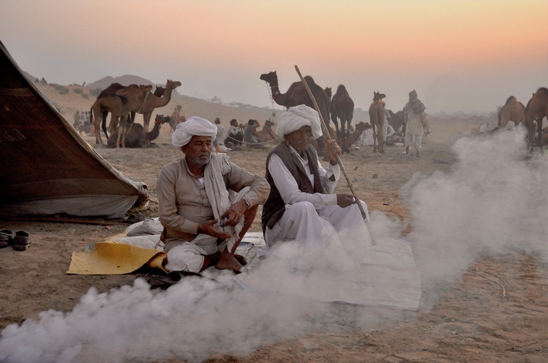 Pushkar Camel Fair