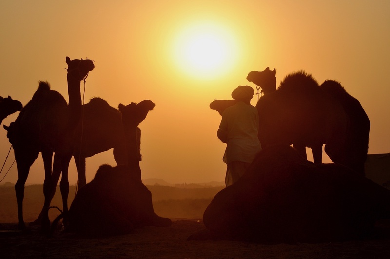 Pushkar Camel Fair
