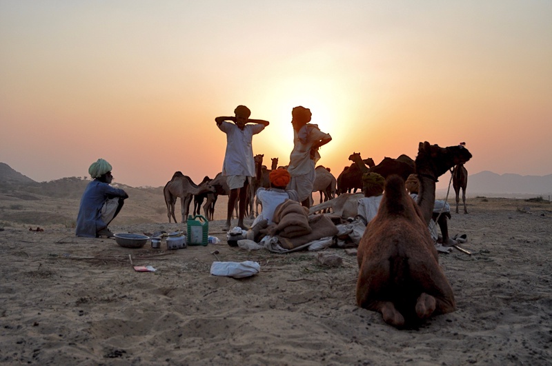 Pushkar Camel Fair