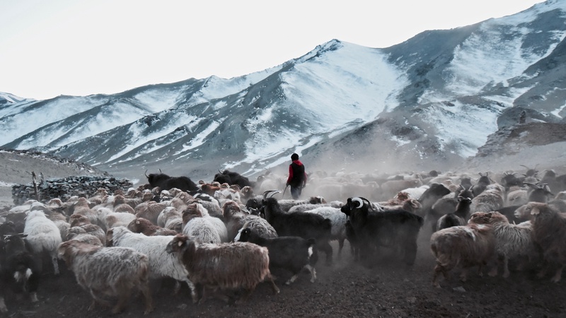 Western Mongolia: Migration of the Kazakhs