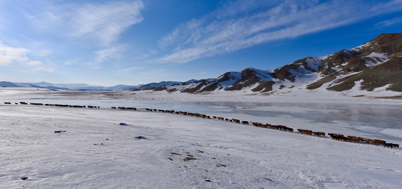 Western Mongolia: Migration of the Kazakhs