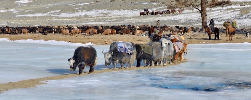 Western Mongolia: Migration of the Kazakhs
