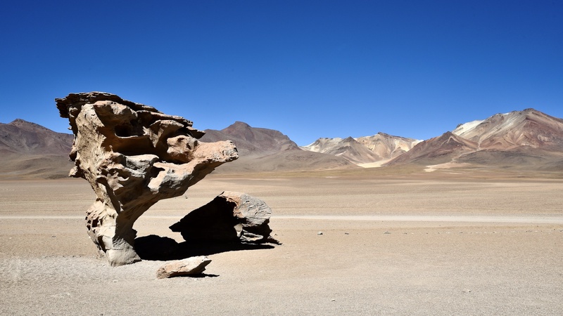 Atacama & Altiplano